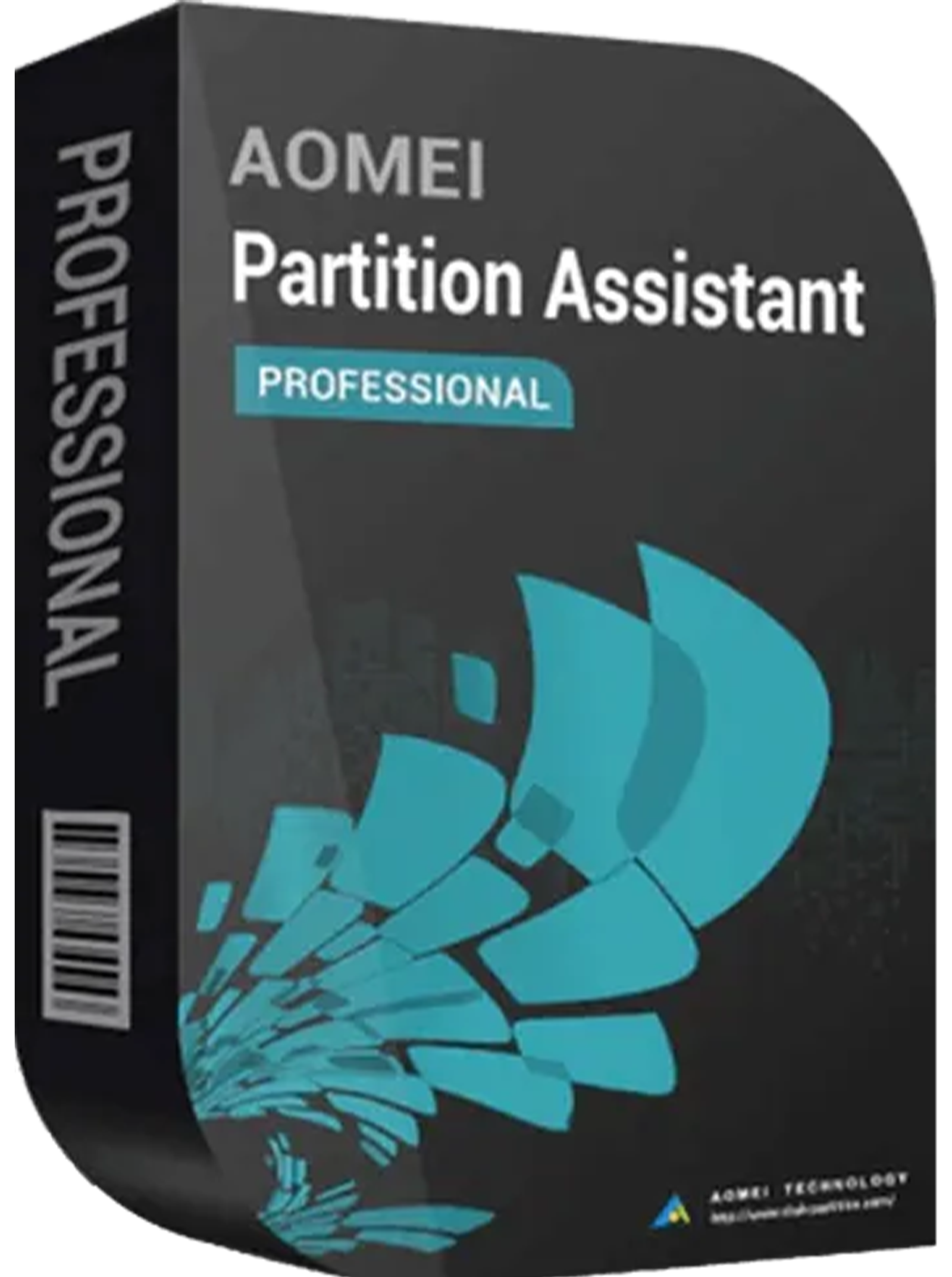 AOMEI Partition Assistant Professional 2pc