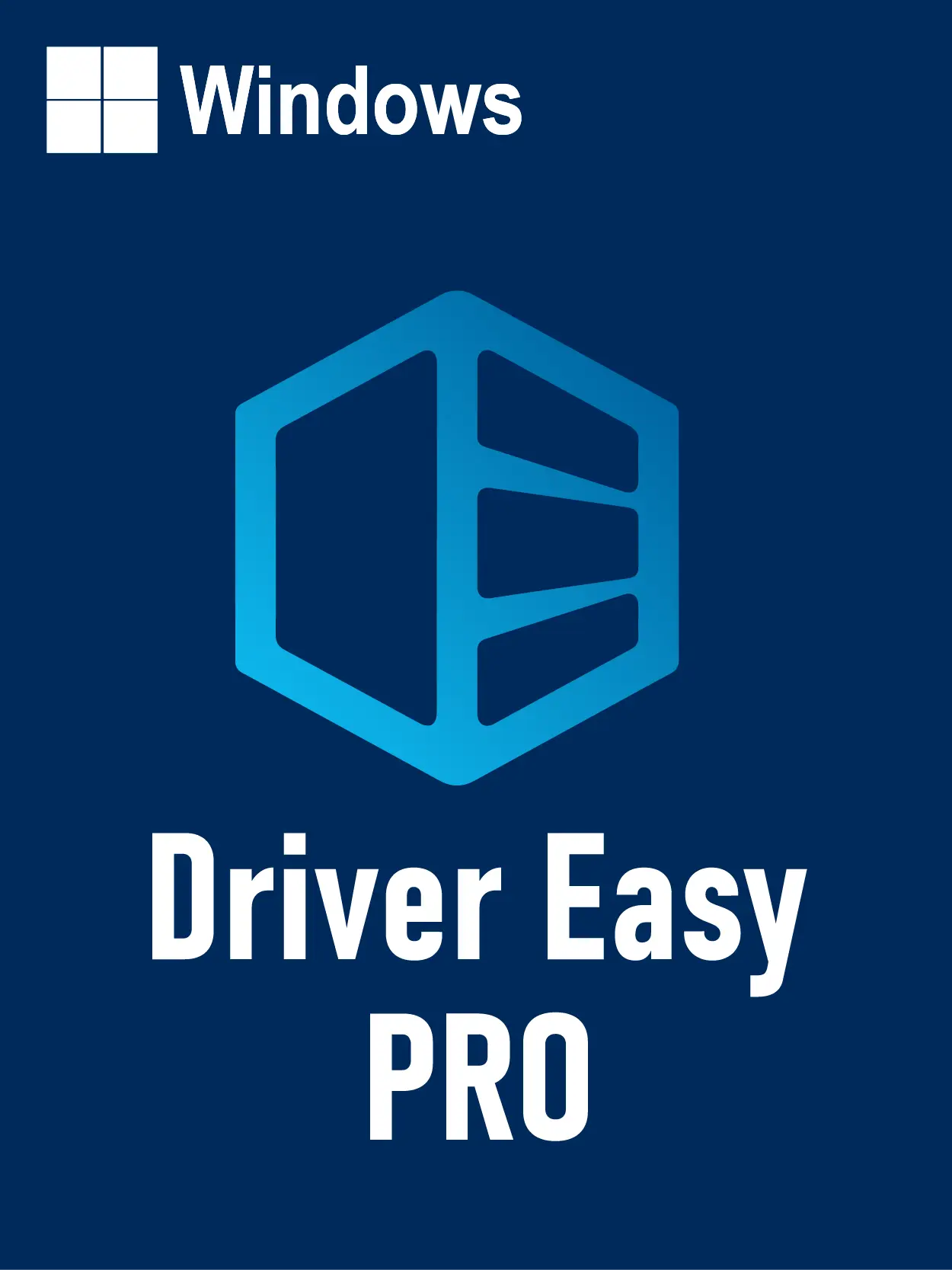 Driver Easy Professional 2025