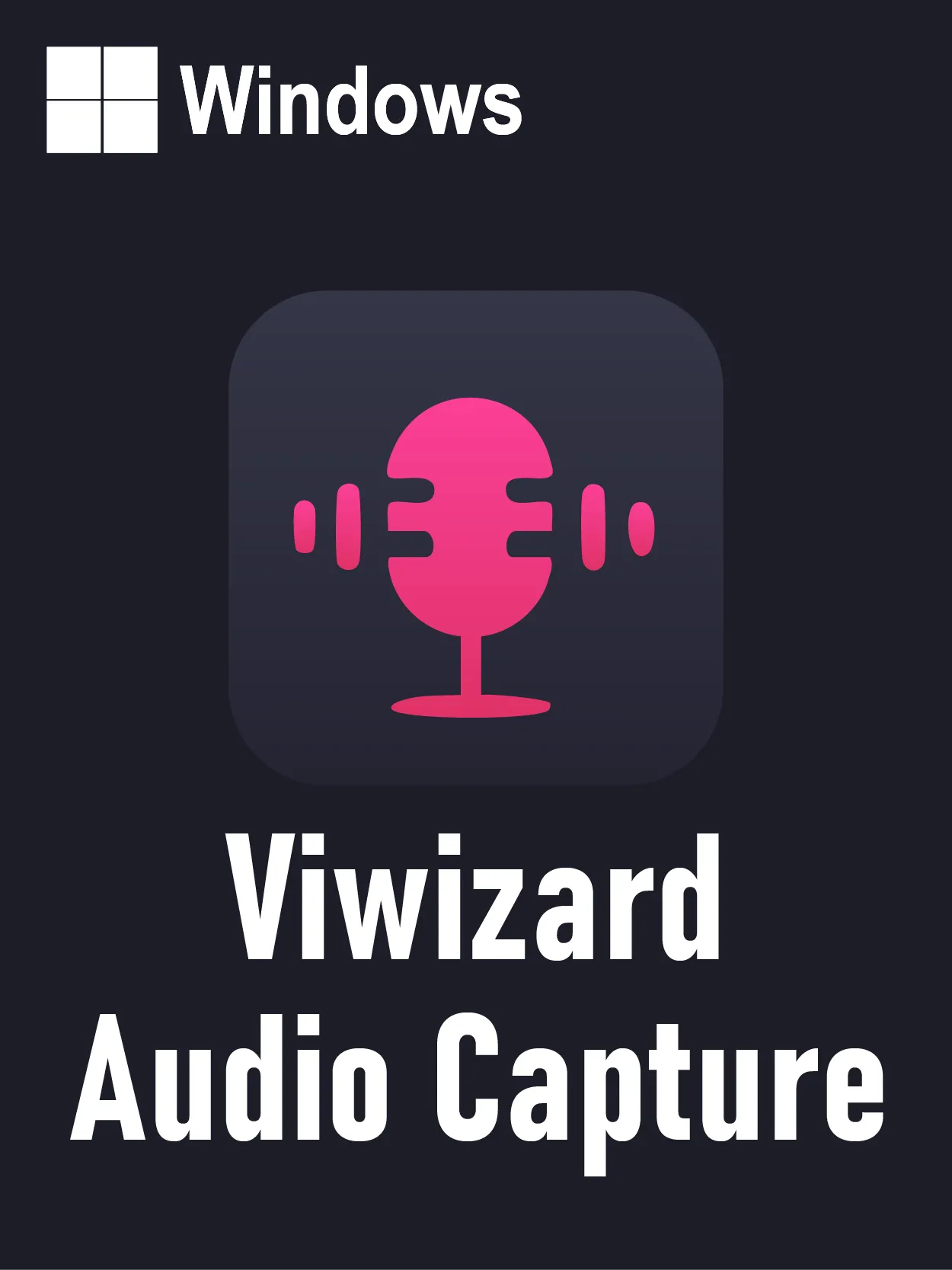 Viwizard Audio Capture