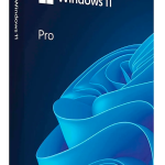 WINDOWS 11 PRO OEM